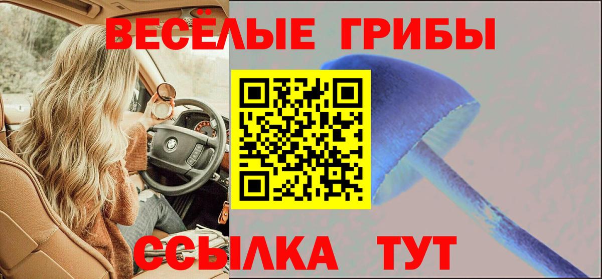 Кызыл  Галлюциногенные грибы Psilocybe  купить наркотики сайты  Вход с VPN 